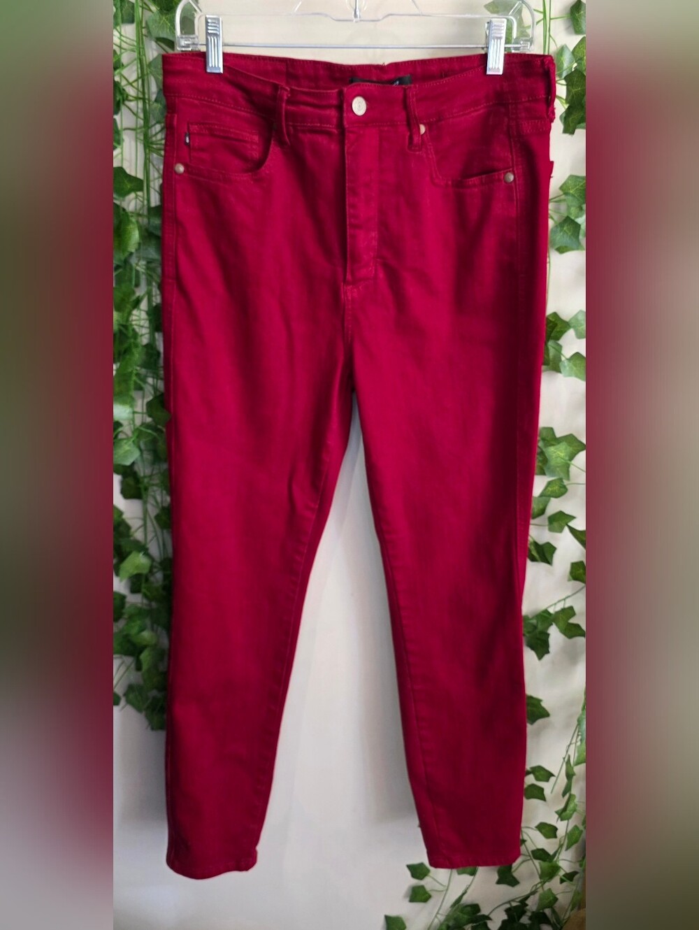 Sz 13/31 • Judy Blue • NWOT